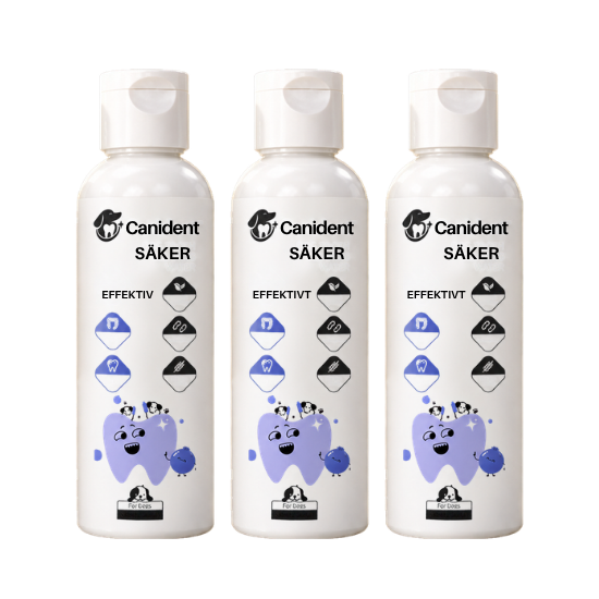 Canident